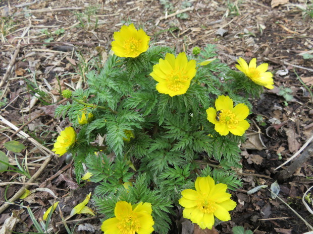e0350415_09524428.jpg