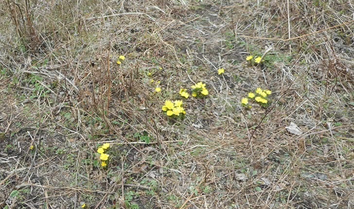 e0350415_10280106.jpg