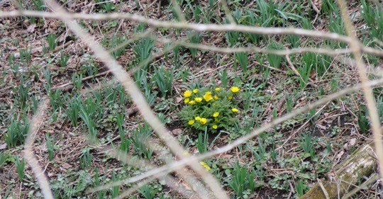 e0350415_10481904.jpg