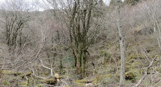 e0350415_10551625.jpg