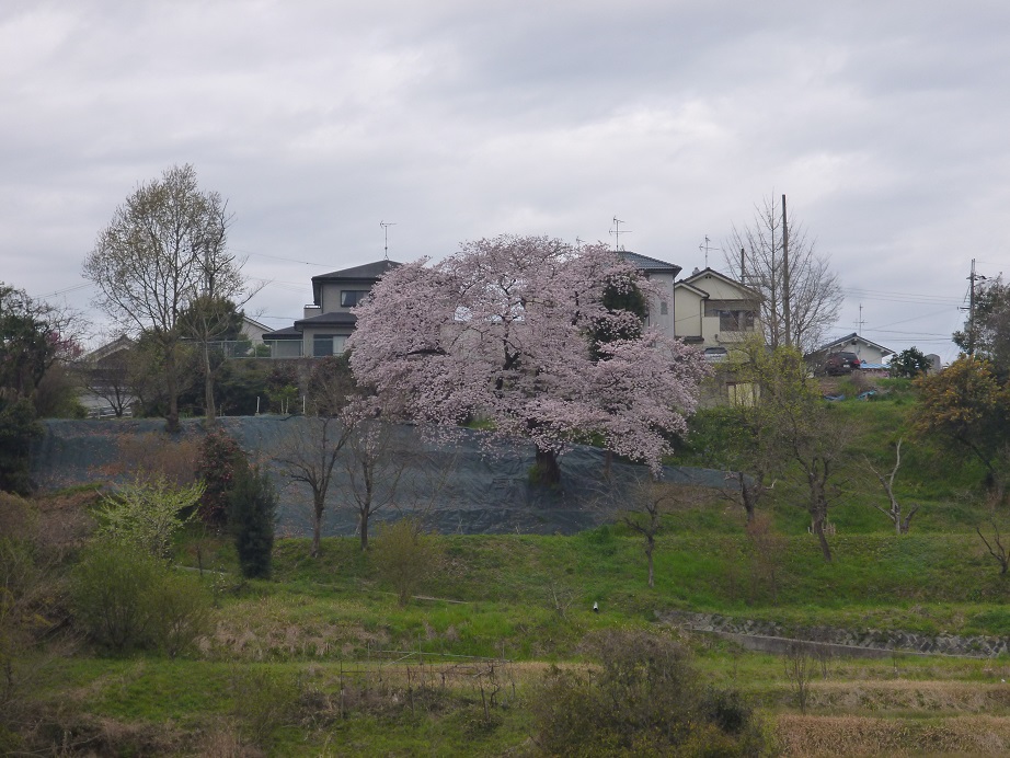 f0228619_19411747.jpg