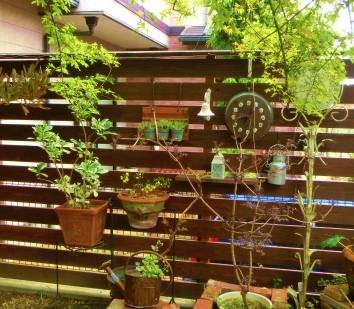 c0204121_204211.jpg