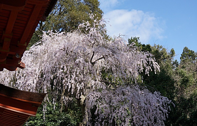 b0068423_14553930.jpg