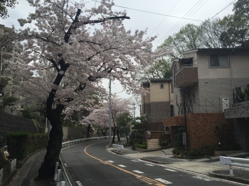 c0157625_22204178.jpg