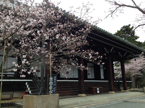 b0004229_1411407.jpg
