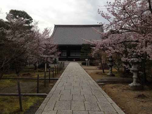 b0004229_1415187.jpg