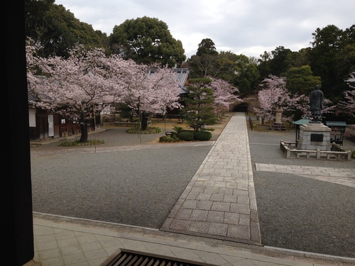 b0004229_14171764.jpg