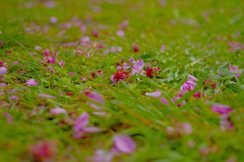 f0338831_22483032.jpg