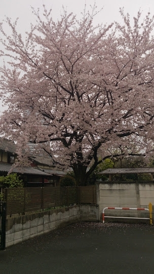 d0092235_20472334.jpg