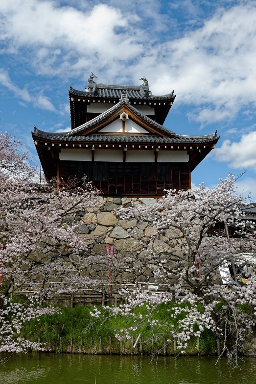f0274536_1643759.jpg