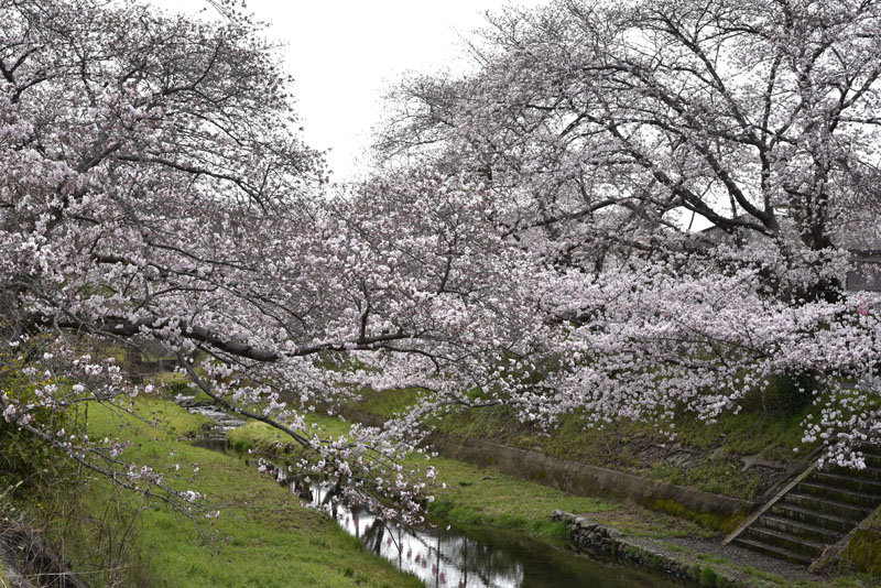 b0042837_4342817.jpg