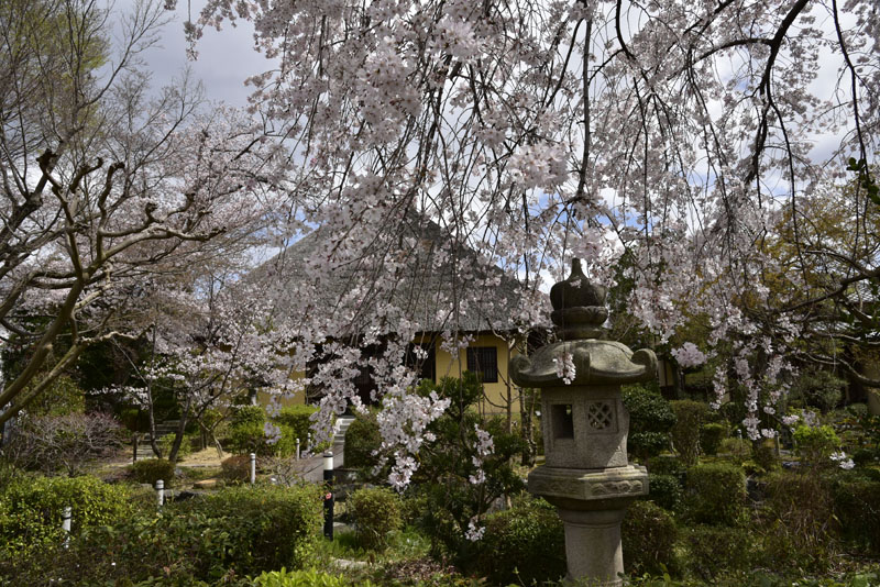 b0042837_4443692.jpg