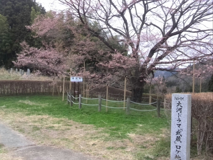 c0194042_17394074.jpg