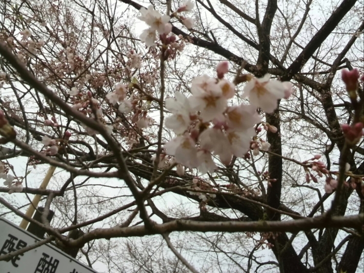 c0194042_17394357.jpg