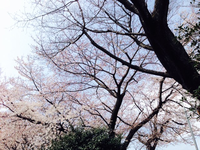 e0206242_8322350.jpg