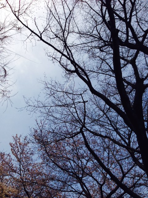e0206242_8322389.jpg