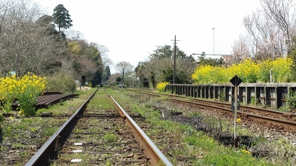 c0310543_11205103.jpg