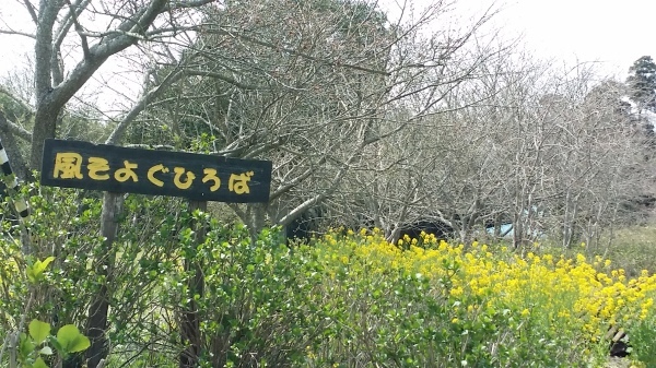 c0310543_11275650.jpg