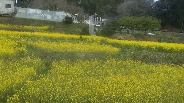 c0310543_12085855.jpg