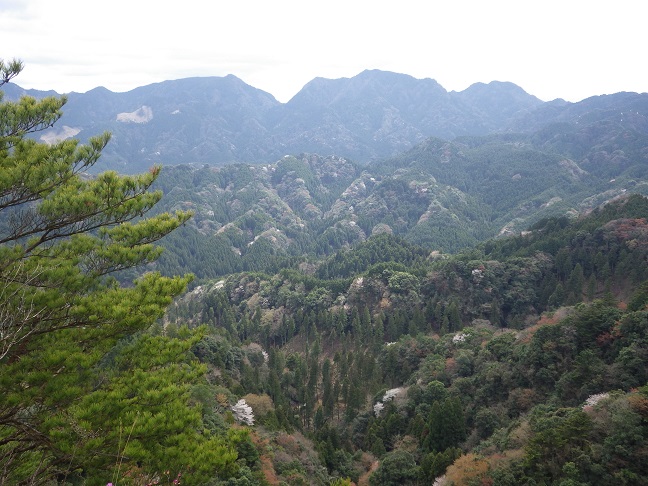 e0164643_22144831.jpg