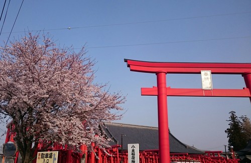 e0150849_17545976.jpg
