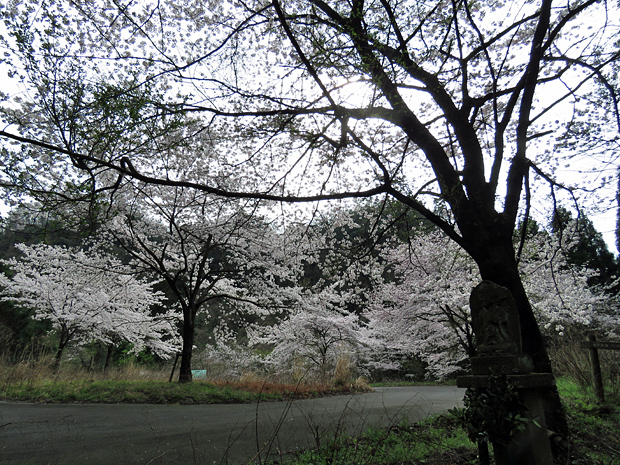 f0214649_522241.jpg