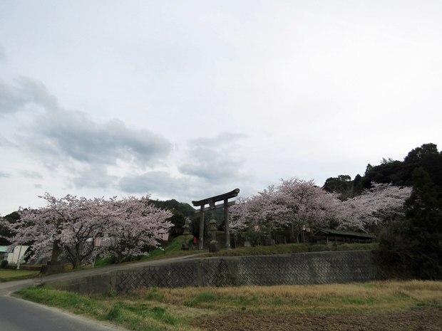 f0214649_5261773.jpg