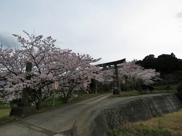 f0214649_547761.jpg