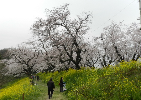 e0172950_20113715.jpg