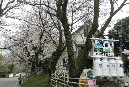 e0172950_20133078.jpg