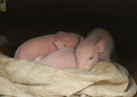 e0172950_20135799.jpg