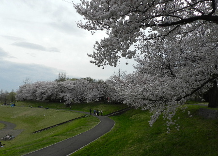 e0172950_2015198.jpg