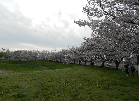 e0172950_20153860.jpg