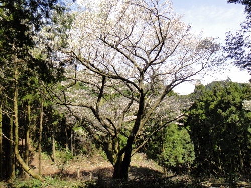 c0179351_21221522.jpg