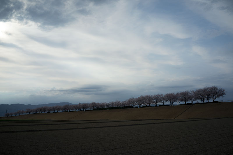 d0342652_10415100.jpg