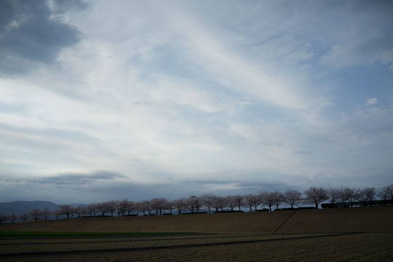 d0342652_1044923.jpg