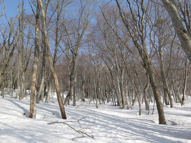c0116856_1657191.jpg
