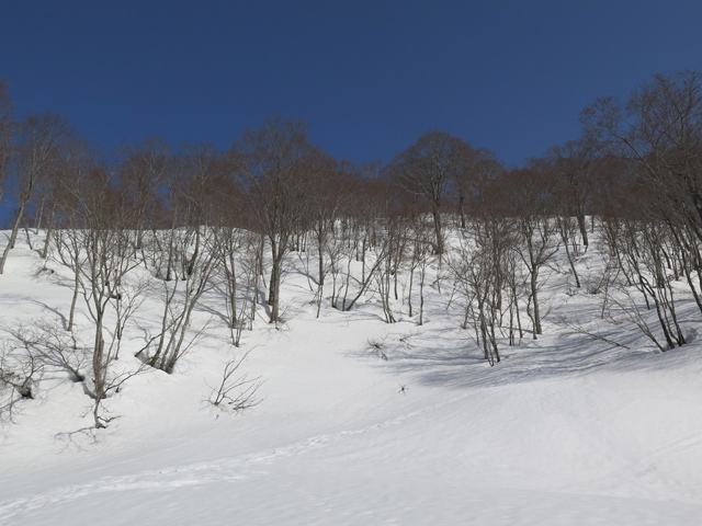 c0116856_1657276.jpg