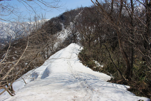 c0116856_17352359.jpg
