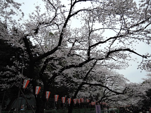 e0047657_23374718.jpg