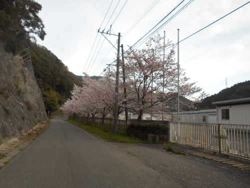 e0181260_7254374.jpg