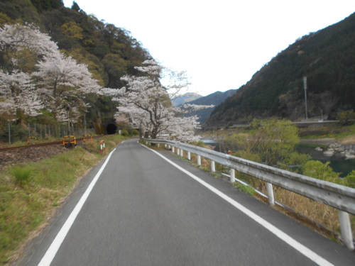 e0181260_7265699.jpg
