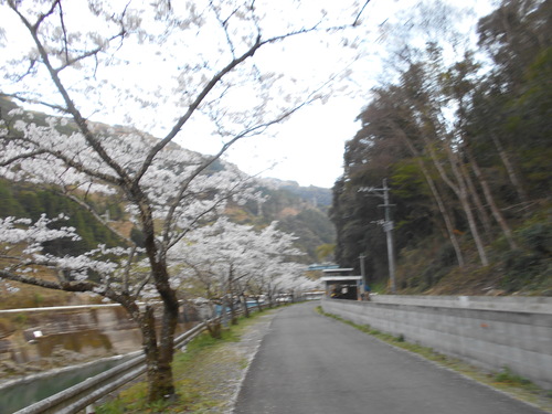 e0181260_7273714.jpg