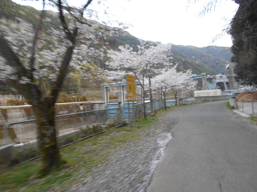 e0181260_728143.jpg