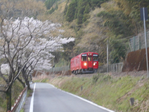 e0181260_7282552.jpg