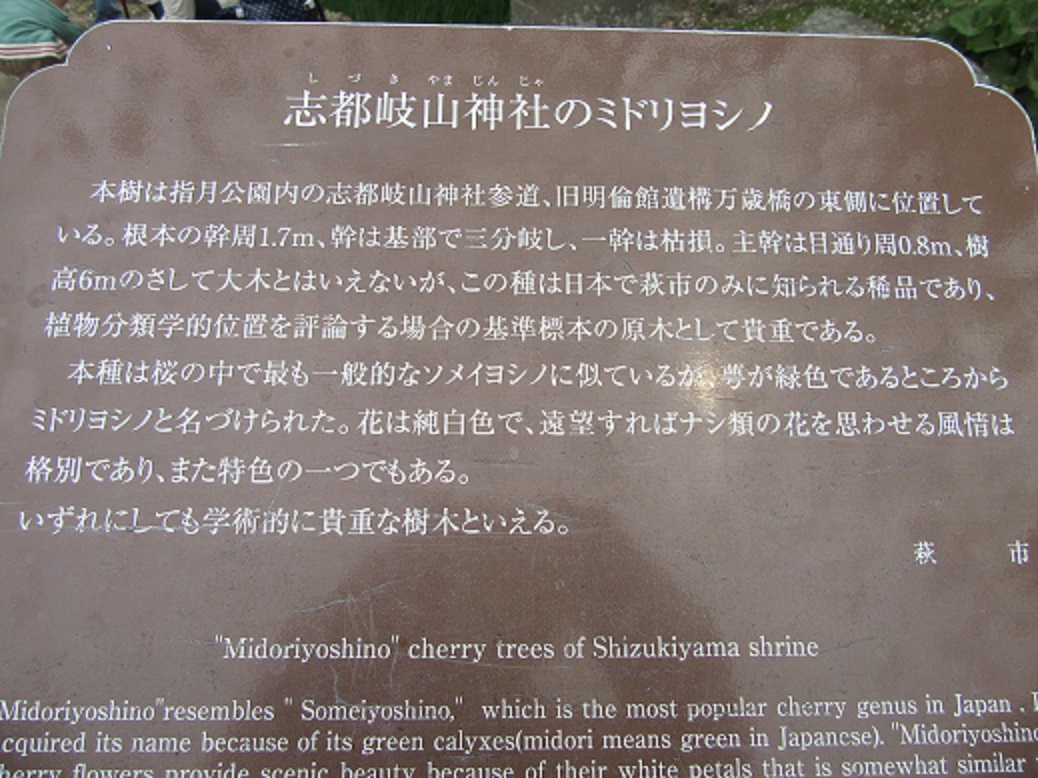 f0113862_21555026.jpg