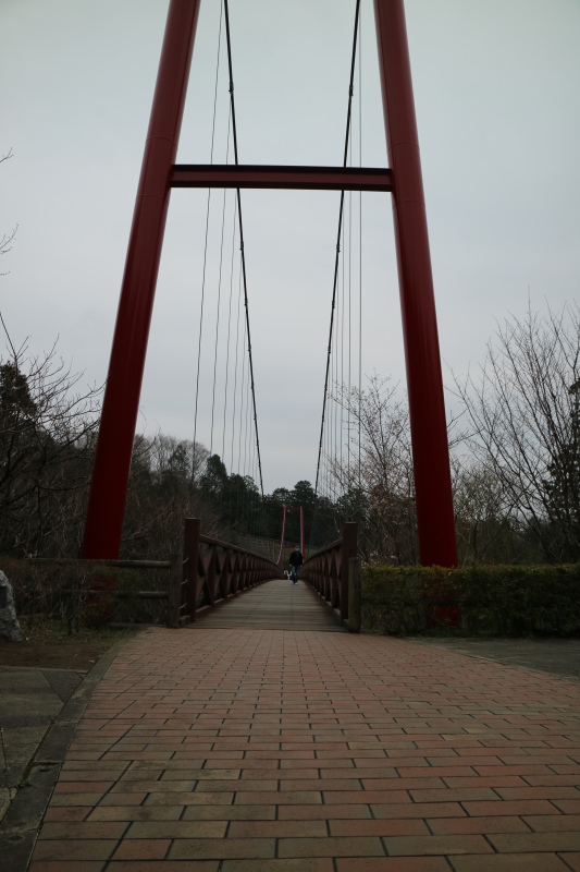 f0345263_00052019.jpg