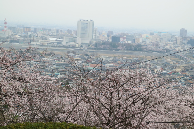 f0345263_00145007.jpg