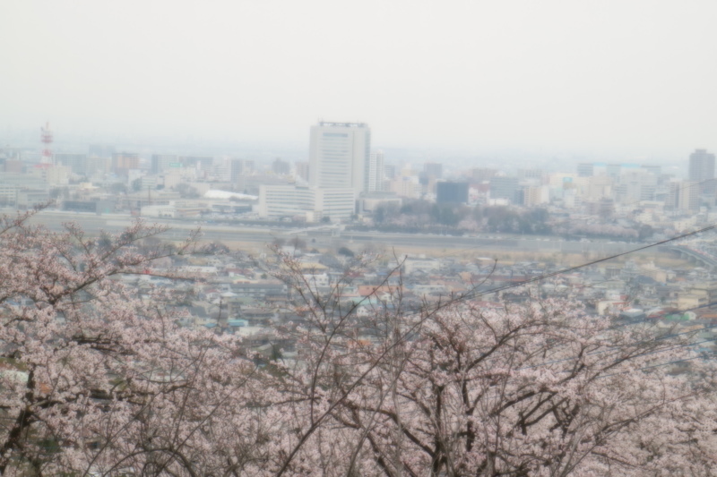 f0345263_00155273.jpg