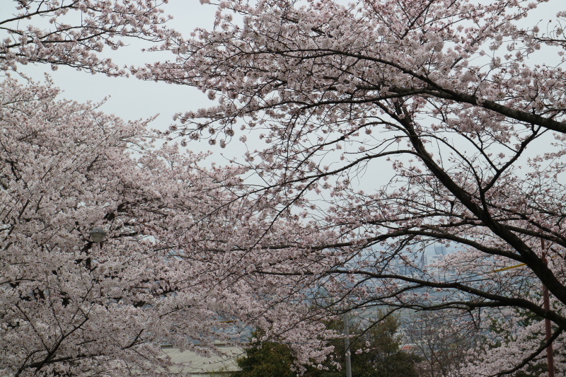 f0345263_00225320.jpg
